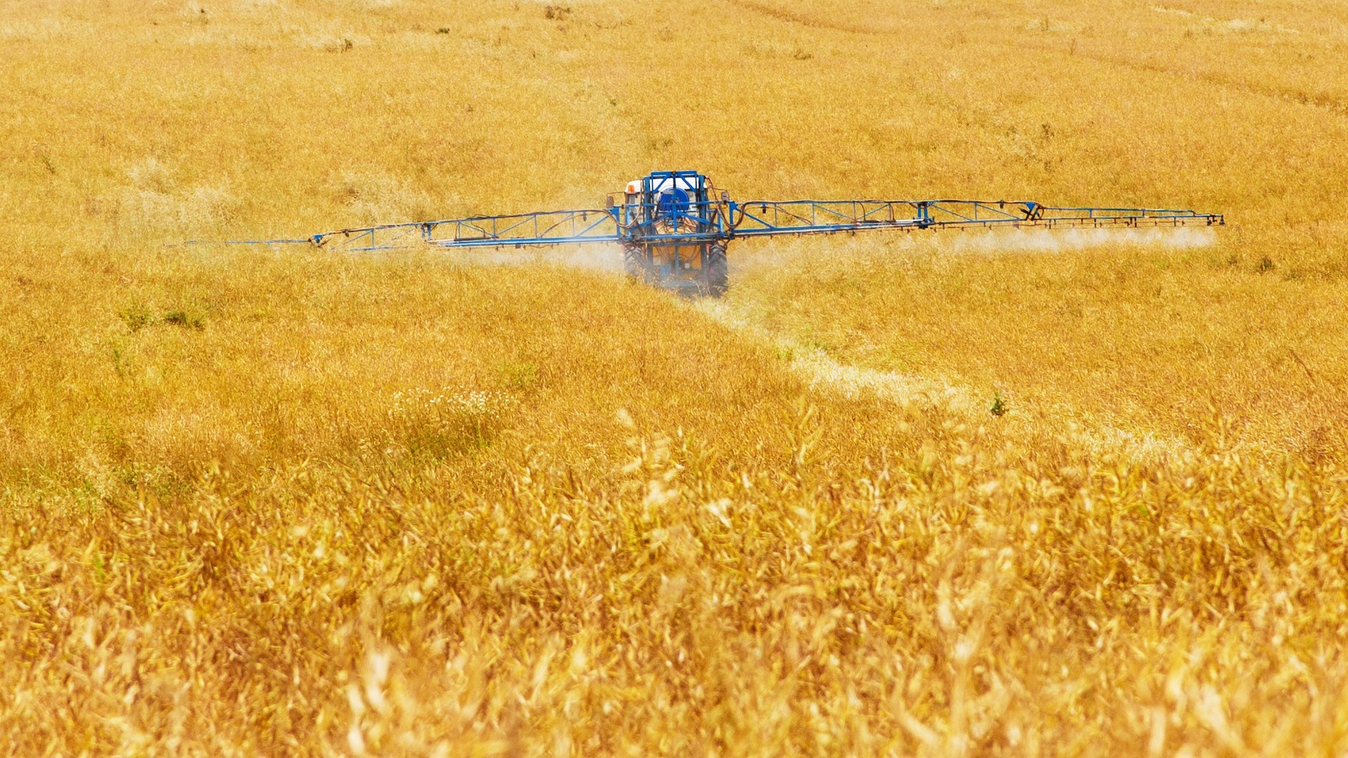O papel da agroindústria e a importância da inovação