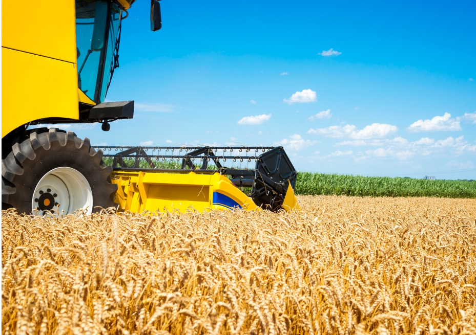 Desbravando o Mundo da Construção: Máquinas de Linha Amarela e a Evolução nos Canteiros de Obras